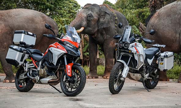 Menjelajah Taman Safari Indonesia Dengan Ducati Multistrada V4 S dan Desert X