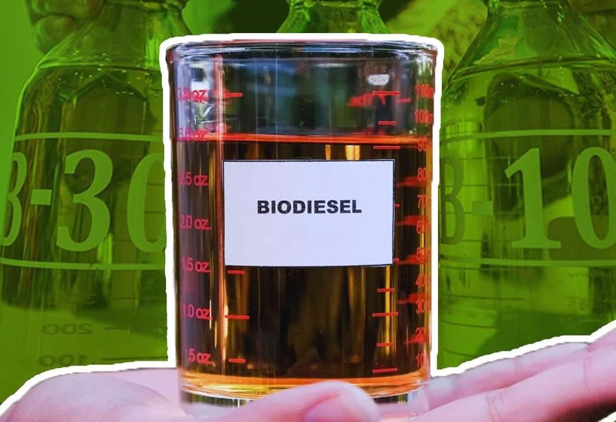 Melihat Kembali Sejarah Biodiesel: Awal Mula dan Perkembangannya